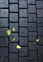 charred wood walkway.     (stained wood blocks)。当地板挂在墙上是怎么样的？？