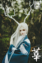 bjd-RD-ringdoll-叔-古风造型-莘-淘宝网