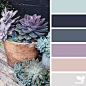 today's inspiration image for { succulent hues } is by @petiteharvest ... thank you, Penny, for another amazing #SeedsColor image share!