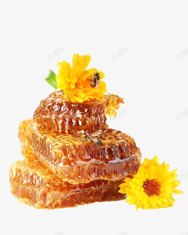 6e416a0158c20777e4d685c4fab37515173c315a2c46f-MFPH6Z