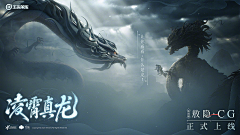 大夯女青年采集到B——banner