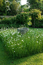 Garden "room"  Wollerton Hall, UK  // Great Gardens & Ideas //: 