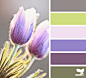 Design Seeds® | for all who ❤ color | spring tones #色彩#