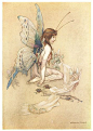 Warwick Goble版《水孩子》插画 : 《水孩子》为英国十九世纪作家查尔斯·金斯利的童话，是儿童文学的经典名作，于是出版过无数版本，很多著名的插画家都为它配过插画。Warwick Goble的插画柔情似水，仙气氤氲，最合适画《水孩子》了。 英文版《水...