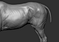 horse, A_ models : finished head and body sculpt
