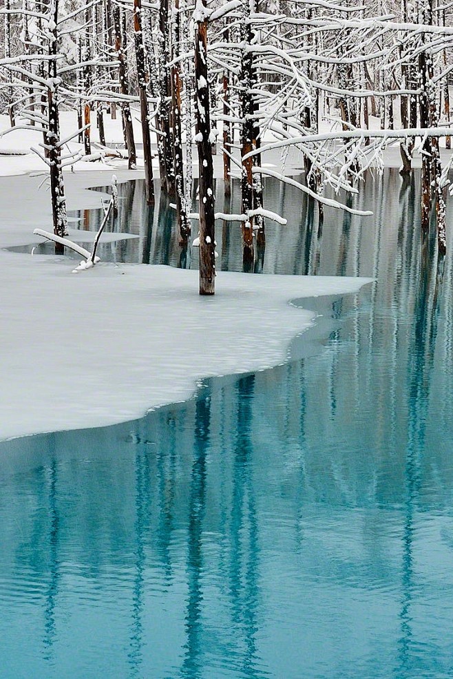 蓝池及阳春白雪，北海道肯特白石