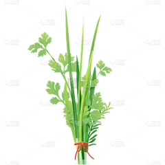 夜子星采集到花瓣素材