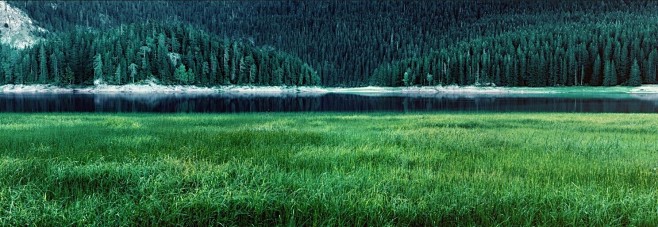 草地 高清 背景 