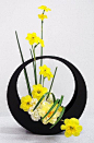 Ikebana Japanese art of flower arrangement.                                                                                                                                                     More: 