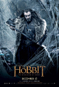 The Hobbit: The Desolation of Smaug Movie Poster