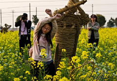 kimilly采集到稻草人