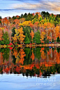 Fall forest reflecting on calm lake, Algonquin Park, Canada