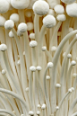 Enoki mushrooms