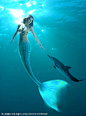 美人鱼摄影工作室's 星云个人网站 | 展示-美人鱼Mermaid - 汤天颖