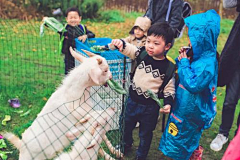 后来长此以往采集到背景素材