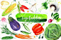 手绘水彩蔬菜水果图案插图PNG免抠设计素材 Vegetables Watercolor clipart - 南岸设计网 nananps.com