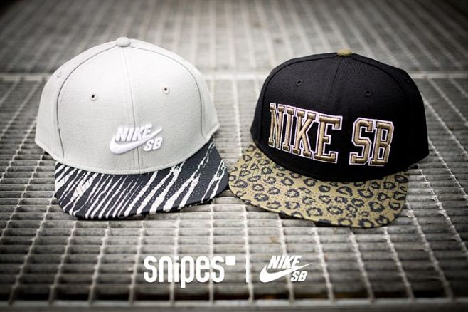 Stylische NIKE SB Sn...