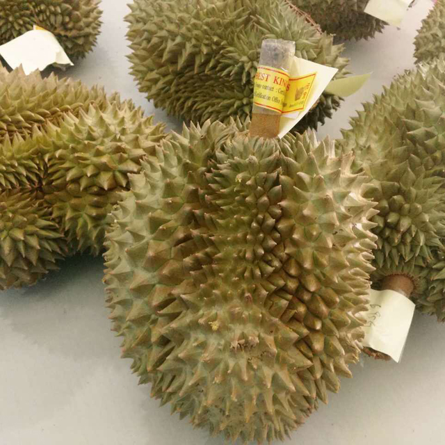 6ed528af88e721c6df0a5c7c355fd4d11f9a17e34cbea-zy1jLz