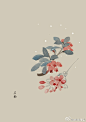 #365天生日花#  5月27日 石南（Rhododendron） 
花语：索然无味
 