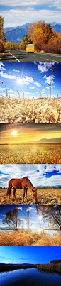 【北京 野鸭湖】金秋时节，金黄色的野菊花、淡紫色的硷菀、白色的苇穗和棕色的香蒲果穗在晚霞中摇曳，仿佛湖上仙境。 #美景# #风景#