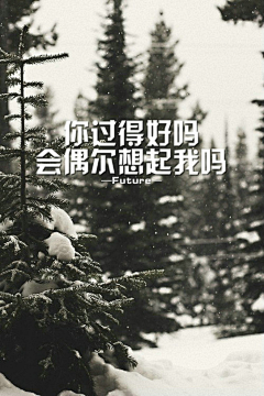 饮尽了风雪采集到文字图