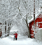 winter barn