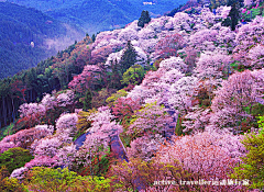 encourse、采集到D生活—摄影/风景美图