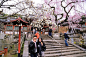 奈良公园里面的神庙，原谅我对于日本的神真的不感兴趣，不过门前的各种花很赞，游客们都纷纷合影拍照，我俩也来了一张。只可惜天气不佳。,dreamhy3