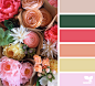 Maker Hues Archives | Design Seeds