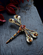 Dragonfly brooch 