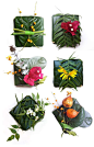 Nature Wraps: DIY green gift wrap for the Holidays@北坤人素材