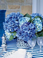 hydrangeas - my second favourite flower!: 