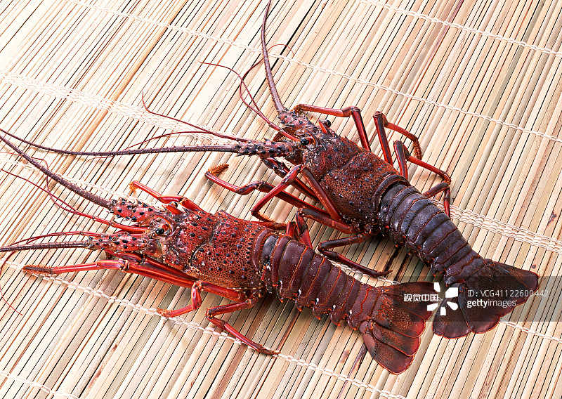 6f5112e41fb19aa9bbbb120e094297d28c79223962591-25760V