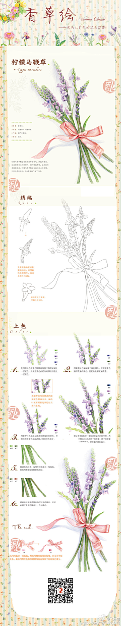 路边大野猫采集到彩铅教程（静物）