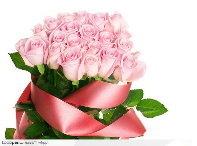 粉色玫瑰花一束图片素材，扎好的一捧粉色玫...