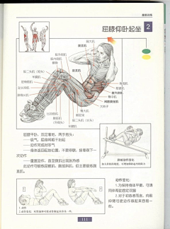 C加嘉雷悉尼小冰枫采集到建身图