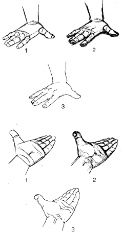 云淡-风情采集到简笔画