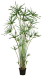 this lovely potted plant is an artificial umbrella papyrus cyperus ...