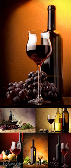 葡萄酒朱莉Julie采集到〖♧葡萄花♧〗红酒与生活