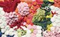 Emily Barletta, una genia del crochet, desde Brooklyn, N.Y.  Se inspira en las formas de la Madre Naturaleza, en éste caso corales tejidos increiblemente, con diferentes técnicas de crochet