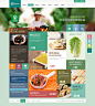 绿色食品、生态园系列模板 0108150122 - 模板库 - 麦模板,企业网站模板分享平