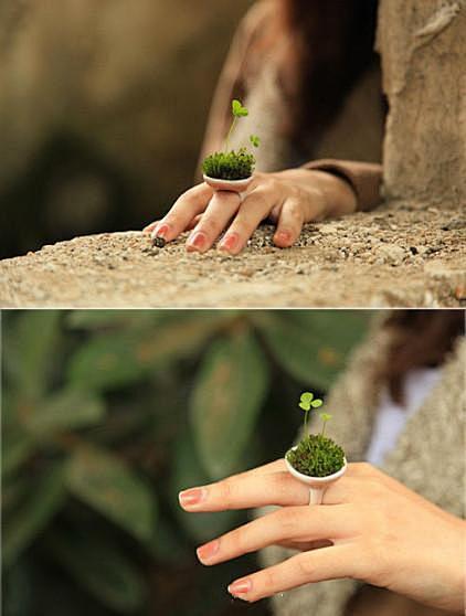 【真正的绿色创意戒指】纯天然、无污染、环...