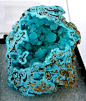 Smithsonite on aurichalcite; Magdalena, New ... | Science and nature