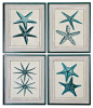 Uttermost Coastal Starfish Framed Art, Set of 4 - beach-style - Prints And Posters - Uttermost