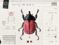 Insect Definer : Interactive insect field guide-Content application for ipad, which allows digital text reading - a transformation from the printed content to digital media. The app will allow exploring and experiencing the world of insects in a new inter