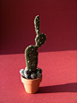Needle Felted Cactus  Felt Pincushion von felttess auf Etsy, $24.00