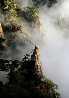 要开心呀(^▽^)采集到情怀随心风景