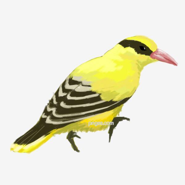 6fcb709697c6b5fc3bfadbdd3c4784d99451fcbe51a2-iDFw5g