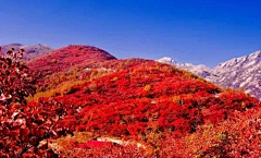 山青烟海采集到风景-名山大川