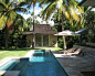 Tropical Pool Design Ideas, Pictures, Remodel & Decor